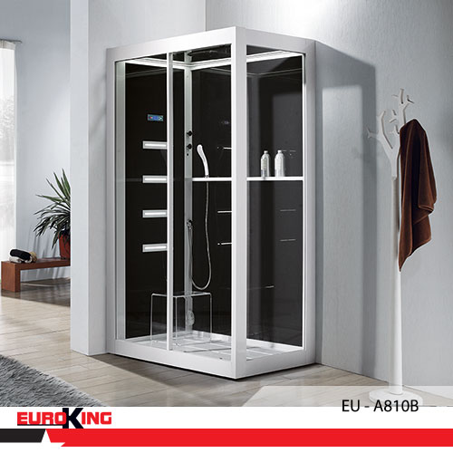 Phòng xông hơi ướt EuroKing EU–A810B